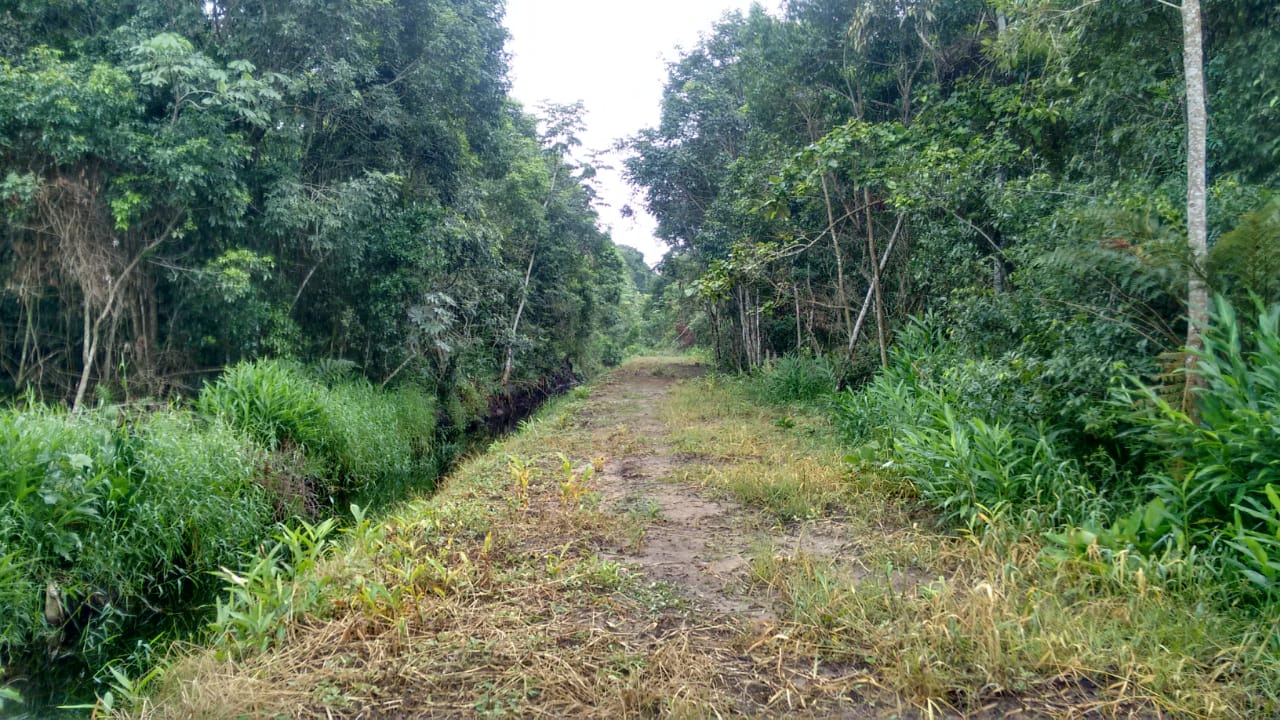 Imagem Terreno à Venda, 70 m²em centro - Itapoá Imagem Terreno à Venda, 70 m²em centro - Itapoá