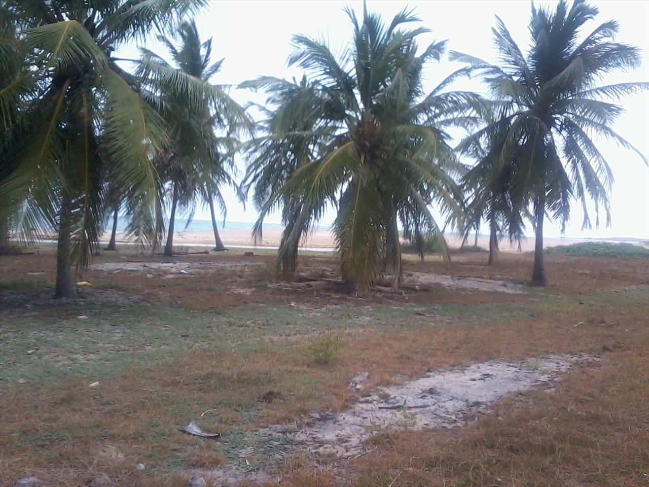 Imagem Terreno à Venda, 168.640 metro em Praia de Pititinga - Rio do Fogo Imagem Terreno à Venda, 168.640 metro em Praia de Pititinga - Rio do Fogo