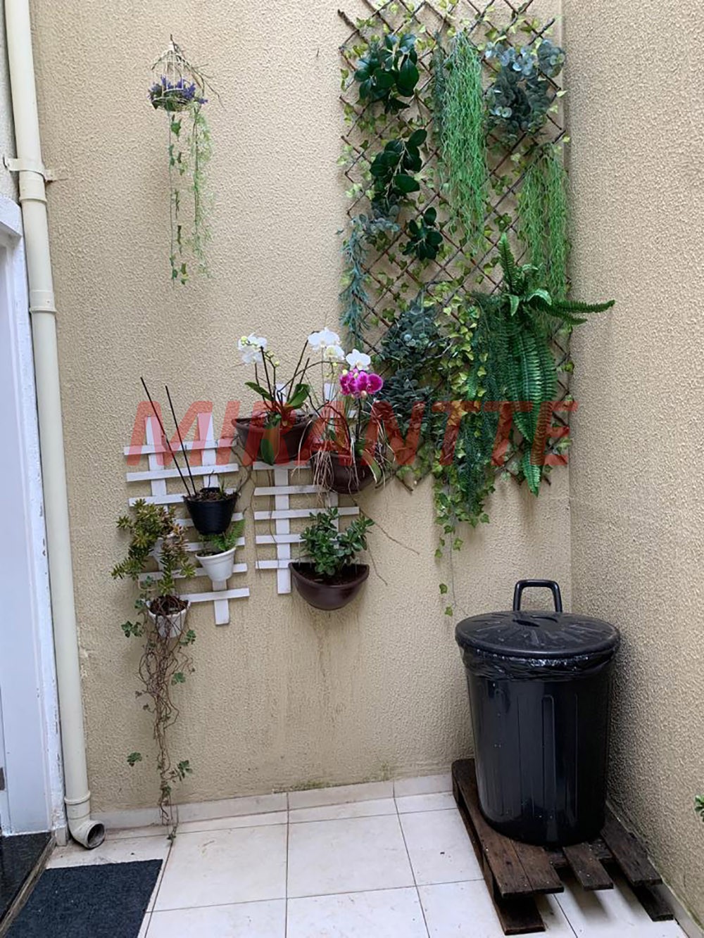 Imagem Sobrado com 3 Quartos à Venda, 100 m²em Vila Aurora (Zona Norte) - São Paulo