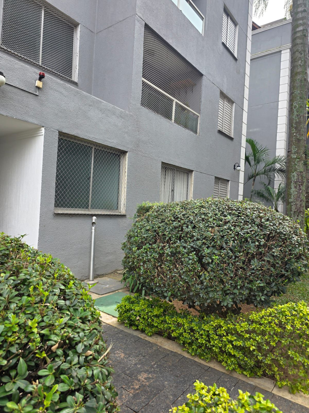 Apartamento com 2 Quartos à Venda, 51 m² em Santa Terezinha - Santo André
