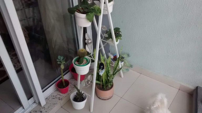 Imagem Apartamento com 3 Quartos à Venda, 63 m² em Vila Mangalot - São Paulo Imagem Apartamento com 3 Quartos à Venda, 63 m² em Vila Mangalot - São Paulo