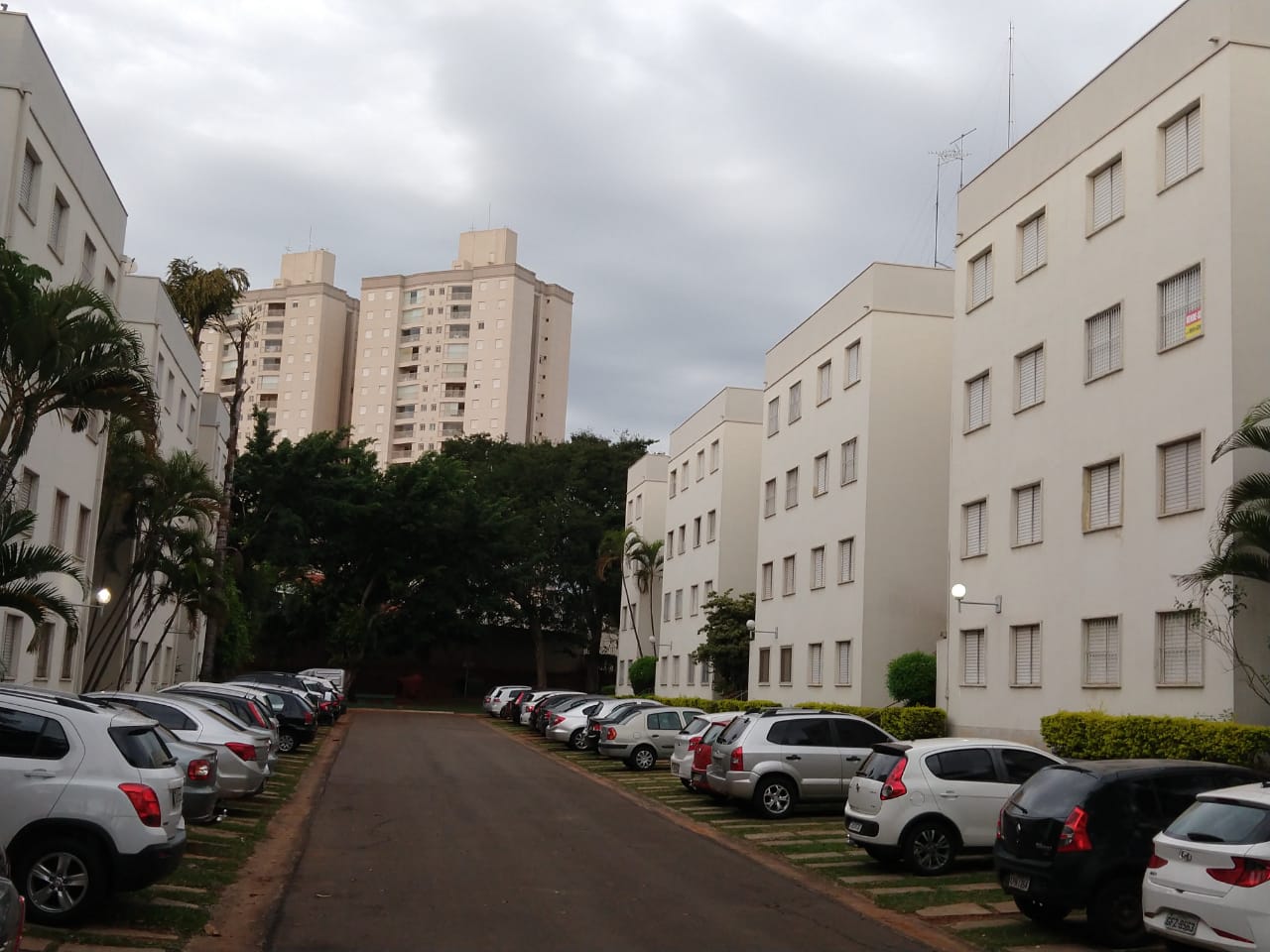 Apartamento com 2 Quartos à Venda, 53 m²em Jardim Miranda - Campinas
