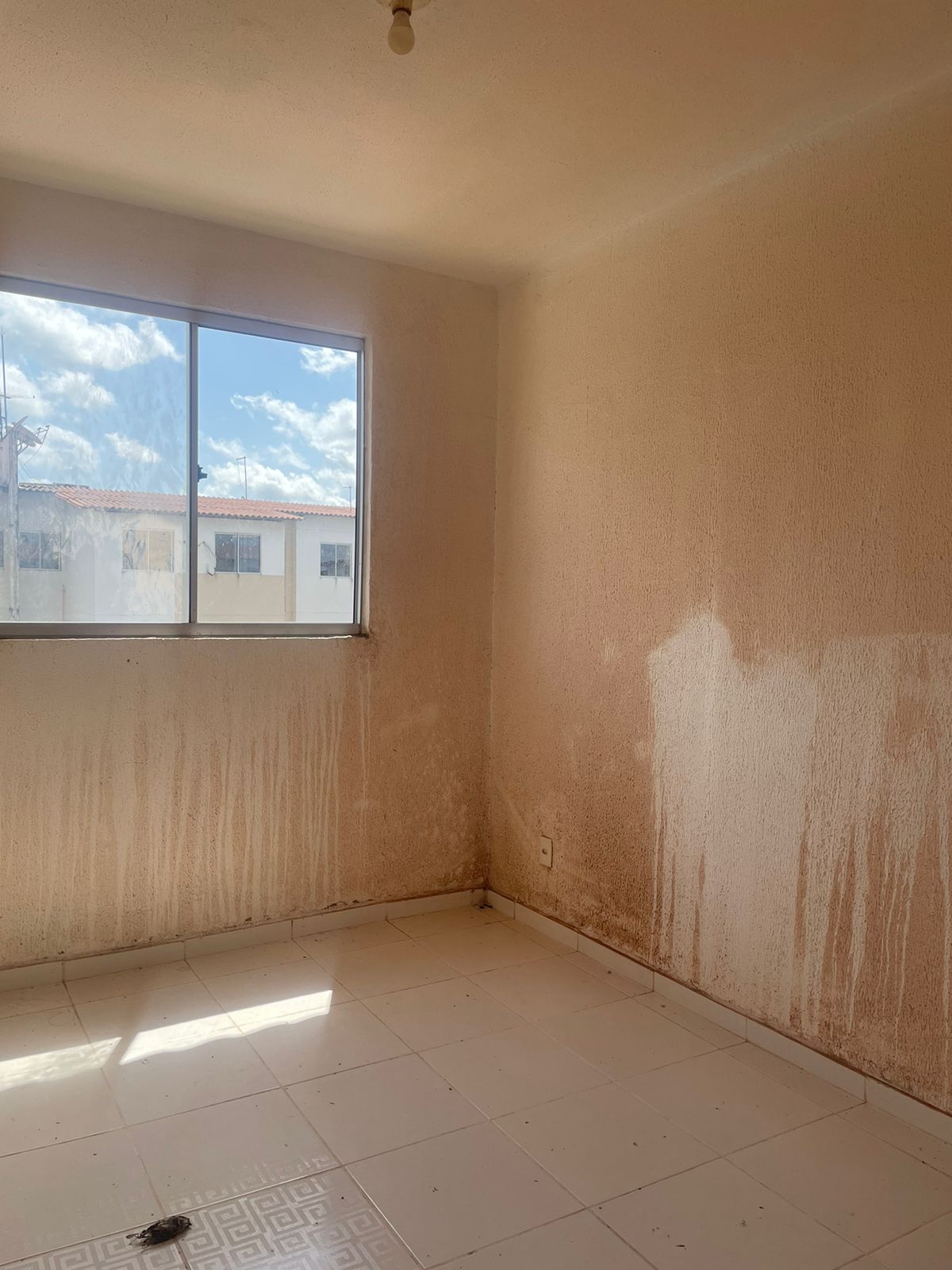 Imagem Apartamento com 2 Quartos à Venda, 58 m²em Novo Horizonte - Marituba Imagem Apartamento com 2 Quartos à Venda, 58 m²em Novo Horizonte - Marituba