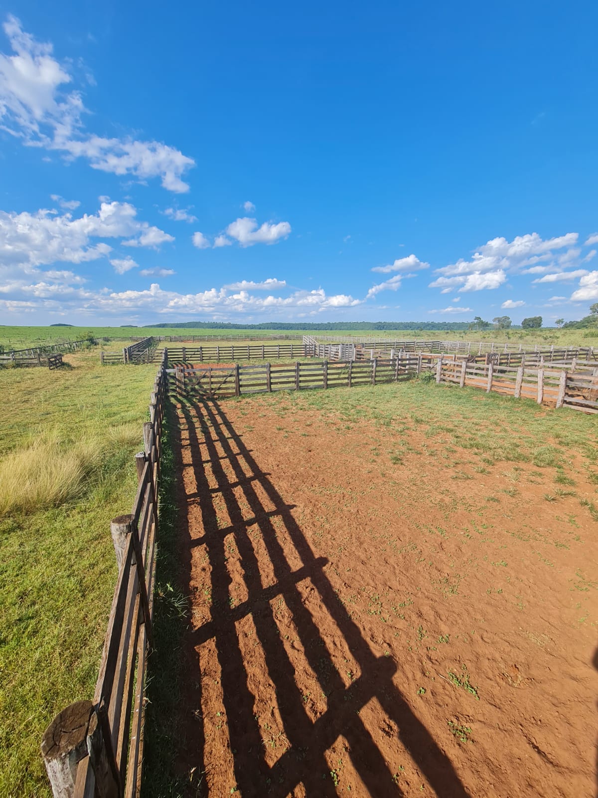 Imagem Fazenda à Venda, 119 Alq GOem ZONA RURAL - Itarumã