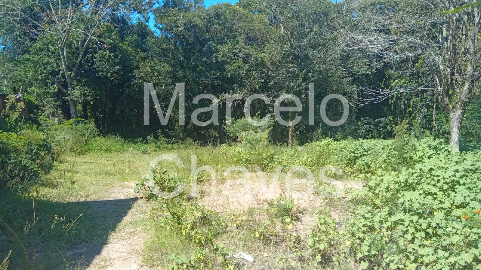 Imagem Terreno à Venda, 900 m² em Centro - Barra do Ribeiro Imagem Terreno à Venda, 900 m² em Centro - Barra do Ribeiro