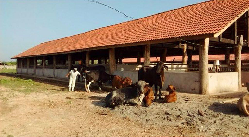 Imagem Terreno em Condomínio à Venda, 420 m²em MOEMA - Santa Izabel do Pará Imagem Terreno em Condomínio à Venda, 420 m²em MOEMA - Santa Izabel do Pará