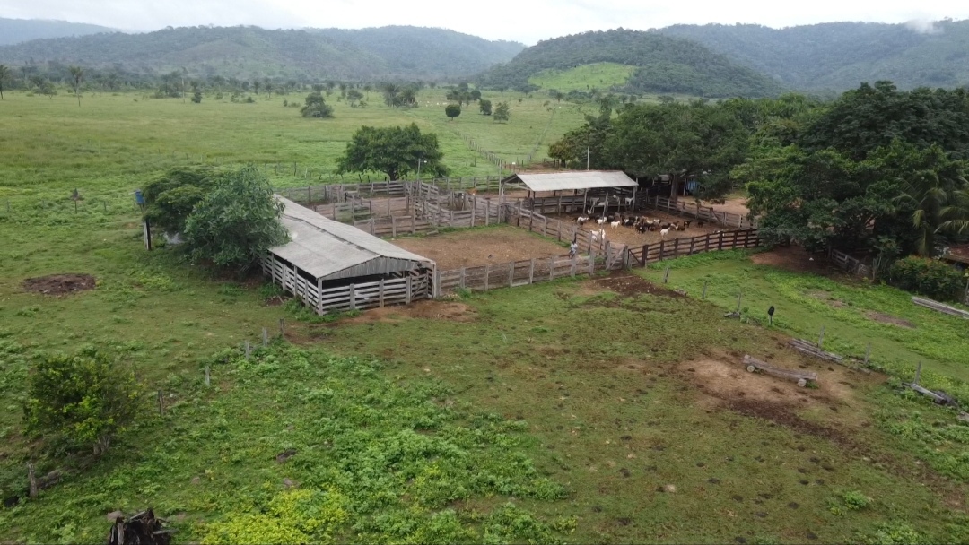 Imagem Fazenda à Venda, 90 m²em Centro - São Félix do Xingu