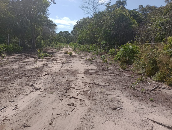 Imagem Terreno à Venda, 44.200 m² em Centro - Santarém Imagem Terreno à Venda, 44.200 m² em Centro - Santarém