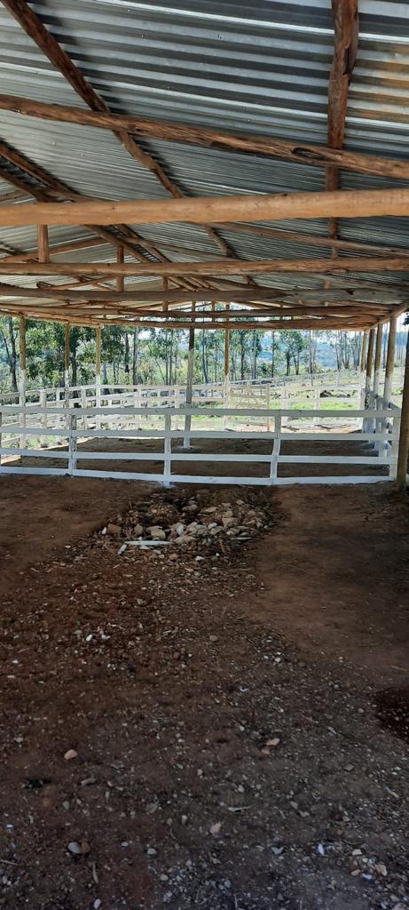 Imagem Fazenda à Venda, 51 HAem zona rural - Desterro de Entre Rios