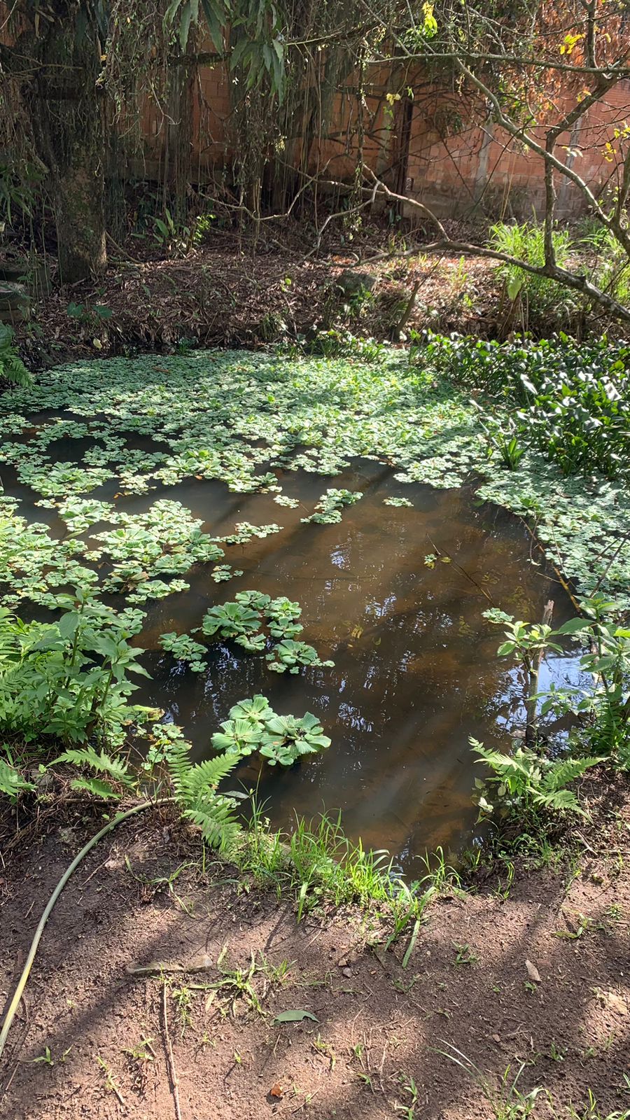 Imagem Terreno à Venda, 17.850 m² em Realengo - Rio de Janeiro Imagem Terreno à Venda, 17.850 m² em Realengo - Rio de Janeiro