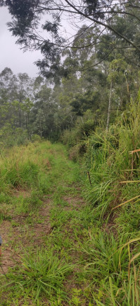 Imagem Terreno à Venda, em Santaninha - Pedras Grandes Imagem Terreno à Venda, em Santaninha - Pedras Grandes