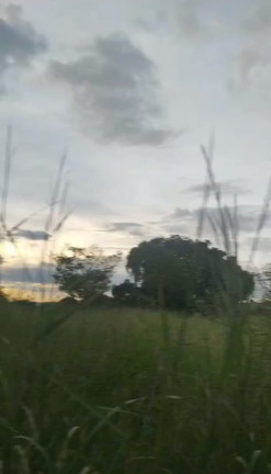 Imagem Terreno à Venda, 20.000 m² em Chácaras Brasil B - Valparaíso de Goiás Imagem Terreno à Venda, 20.000 m² em Chácaras Brasil B - Valparaíso de Goiás