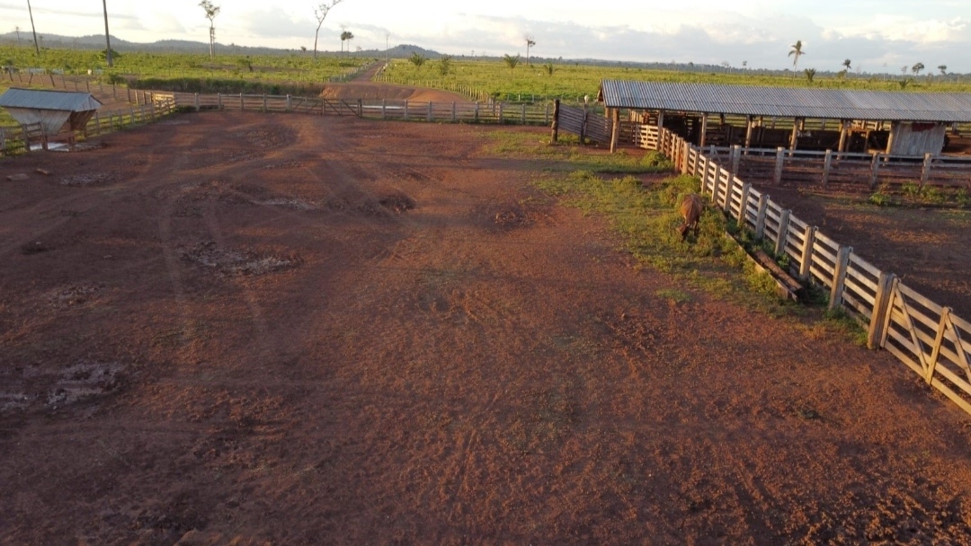 Imagem Fazenda à Venda, 430 m² em Centro - São Félix do Xingu Imagem Fazenda à Venda, 430 m² em Centro - São Félix do Xingu