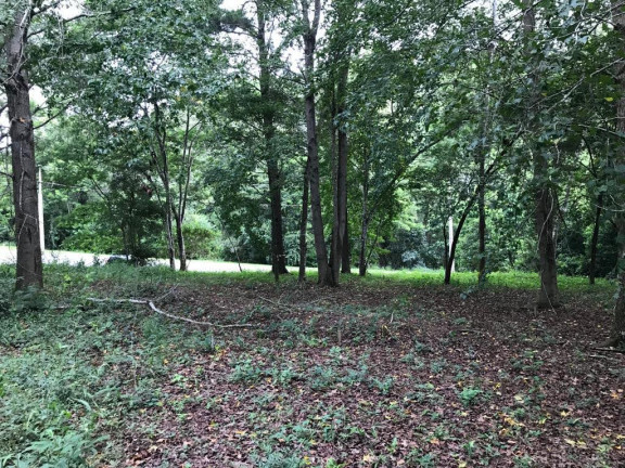 Imagem Terreno em Condomínio à Venda, 1.212 m² em Caxambu - Jundiaí Imagem Terreno em Condomínio à Venda, 1.212 m² em Caxambu - Jundiaí