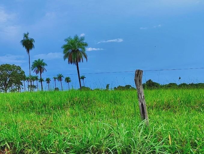 Imagem Fazenda à Venda, 1115 m² em ZONA RURAL - Mundo Novo Imagem Fazenda à Venda, 1115 m² em ZONA RURAL - Mundo Novo