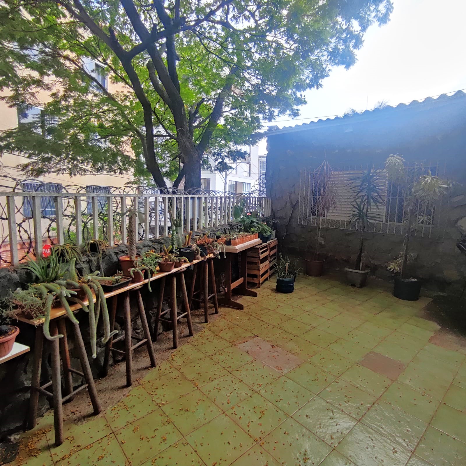 Imagem Apartamento com 4 Quartos à Venda, 120 m²em Serra - Belo Horizonte