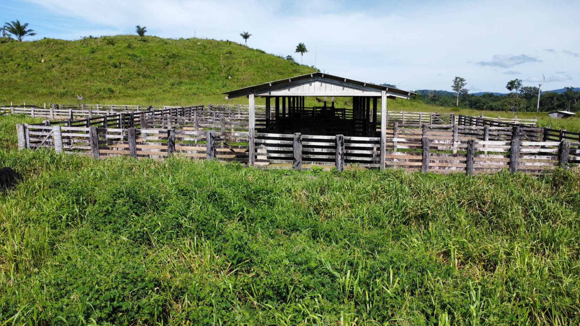 Imagem Fazenda à Venda, 900 Alq MGem Centro - São Félix do Xingu Imagem Fazenda à Venda, 900 Alq MGem Centro - São Félix do Xingu