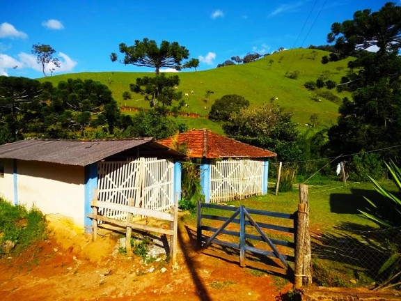 Imagem Chácara com 3 Quartos à Venda, 23.200 m² em Rio Lourenço Velho - Delfim Moreira Imagem Chácara com 3 Quartos à Venda, 23.200 m² em Rio Lourenço Velho - Delfim Moreira