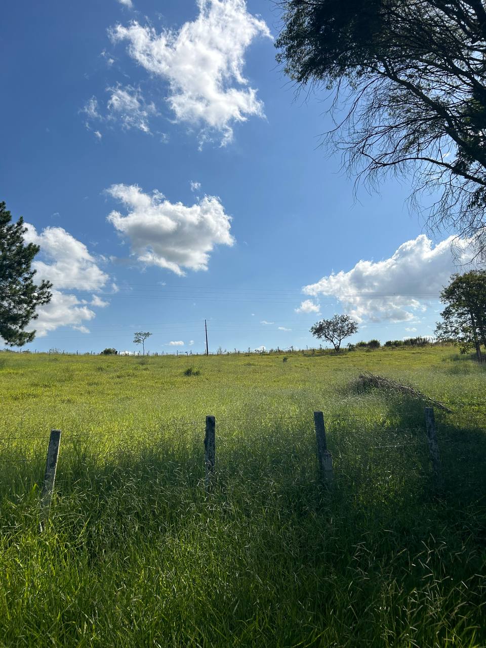 Imagem Terreno em Condomínio à Venda ou Locação, 500 m²em recreio verava - Ibiúna Imagem Terreno em Condomínio à Venda ou Locação, 500 m²em recreio verava - Ibiúna