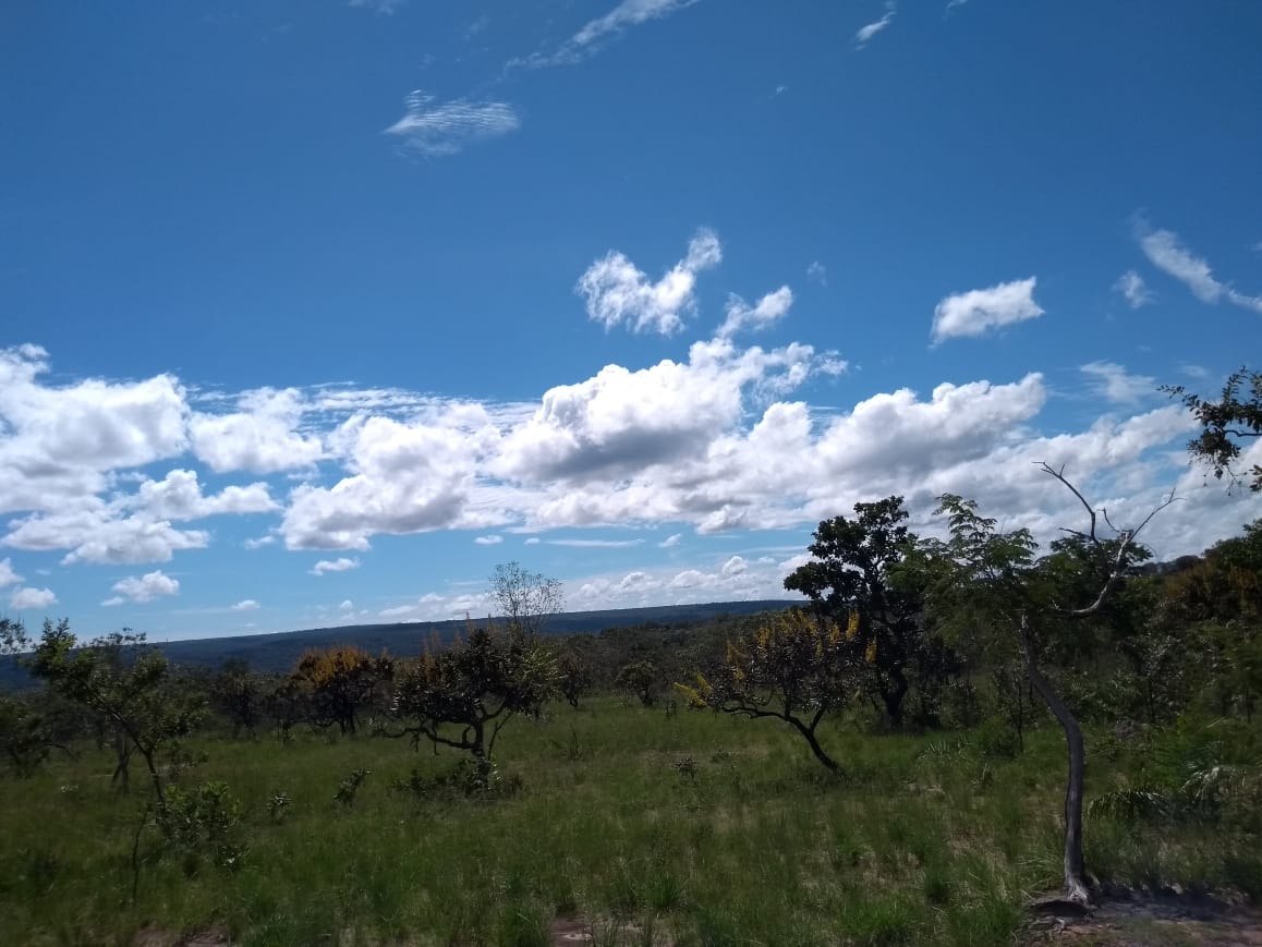 Imagem Fazenda à Venda, 64 Alq. GO em Zona Rural - Ribeirãozinho Imagem Fazenda à Venda, 64 Alq. GO em Zona Rural - Ribeirãozinho