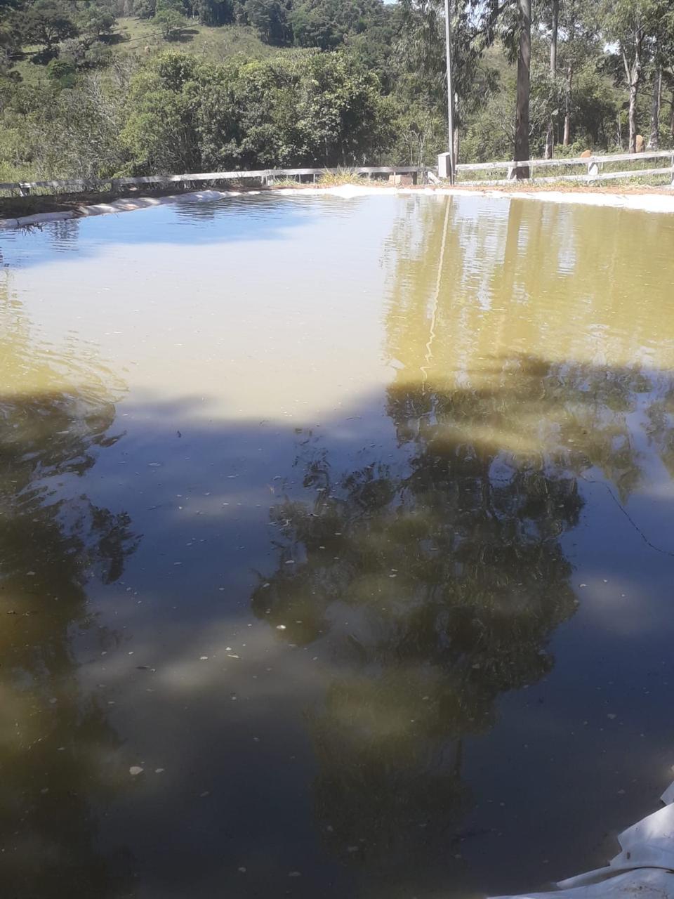 Imagem Fazenda à Venda, 51 HAem zona rural - Desterro de Entre Rios