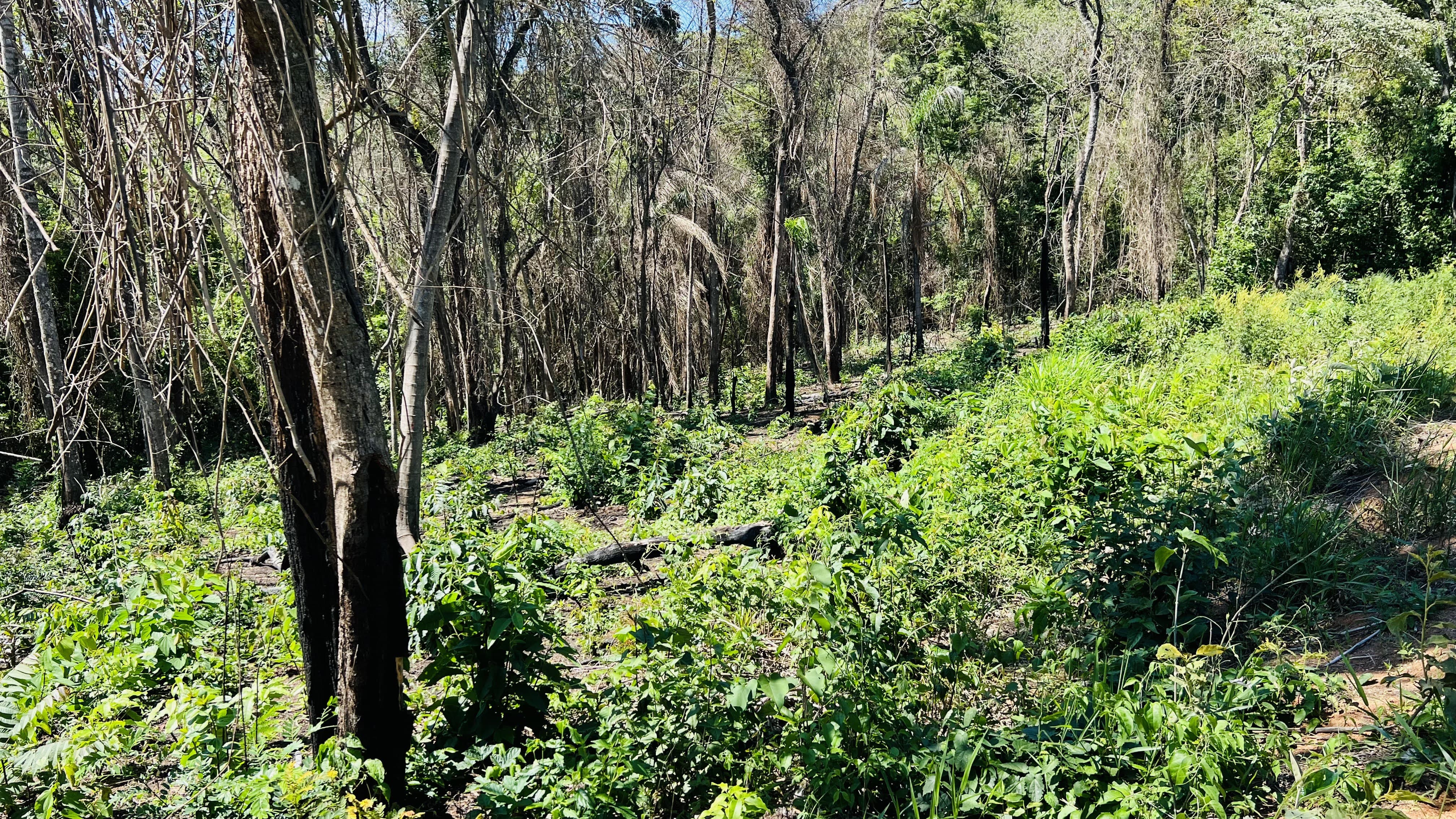Imagem Terreno em Condomínio à Venda, 1.531 m² em Estância Santa Maria do Laranjal - Atibaia