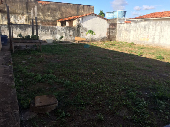 Imagem Casa com 3 Quartos para Alugar, 1 m² em COHAB Anil I - São Luís Imagem Casa com 3 Quartos para Alugar, 1 m² em COHAB Anil I - São Luís