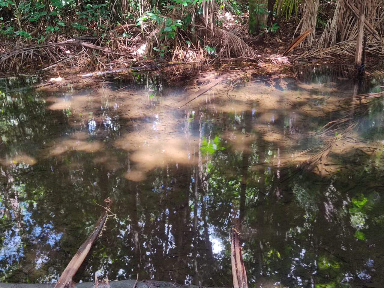 Imagem Terreno à Venda, 300.000 m² em - Bujaru Imagem Terreno à Venda, 300.000 m² em - Bujaru