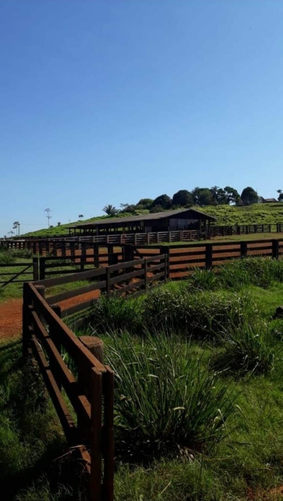 Imagem Fazenda à Venda, 9.399 m² em Centro - São Félix do Xingu Imagem Fazenda à Venda, 9.399 m² em Centro - São Félix do Xingu