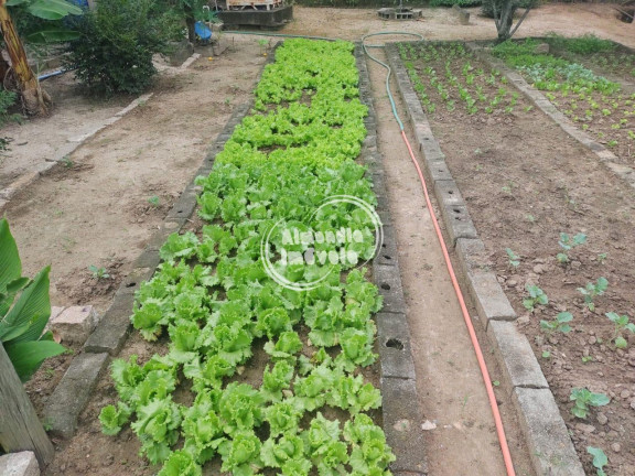 Imagem Chácara com 3 Quartos à Venda, Locação ou Temporada, 2.600 m² em Agrovila CAIC - Porto Feliz Imagem Chácara com 3 Quartos à Venda, Locação ou Temporada, 2.600 m² em Agrovila CAIC - Porto Feliz