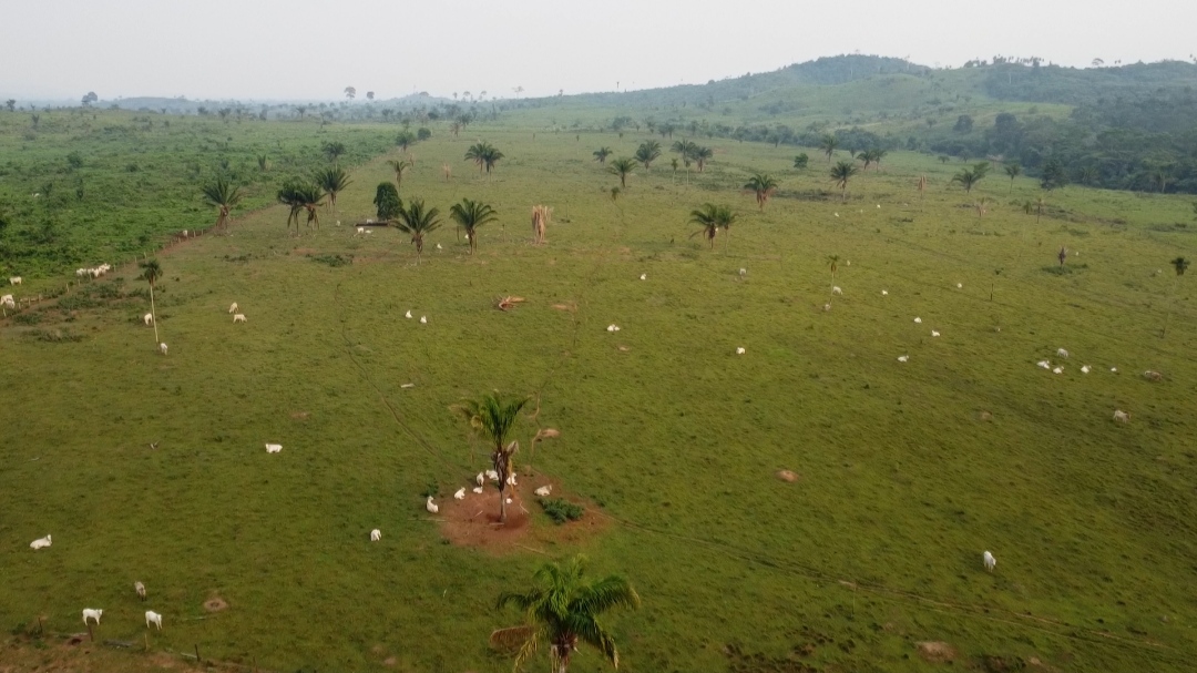Imagem Fazenda à Venda, 1 m²em Centro  - São Félix do Xingu