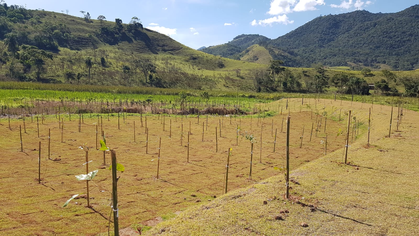 Imagem Terreno à Venda ou Temporada, 450 m²em São Francisco Xavier - São José dos Campos Imagem Terreno à Venda ou Temporada, 450 m²em São Francisco Xavier - São José dos Campos