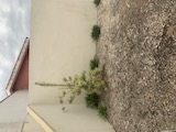 Imagem Casa de Condomínio com 3 Quartos à Venda, 86 m² em Jardim São Marcos - Bom Jesus dos Perdões