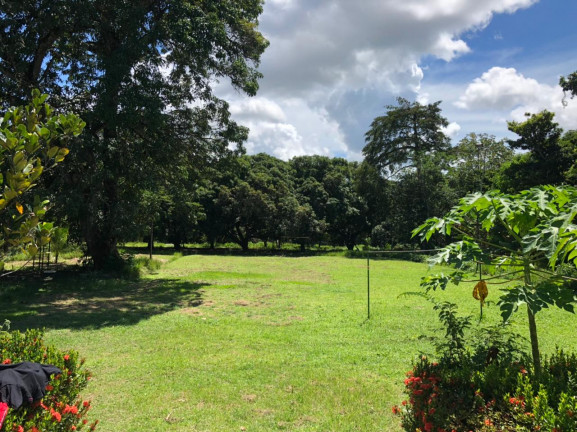 Imagem Fazenda à Venda ou Locação, 25.000 m² em Aurora - São Luís