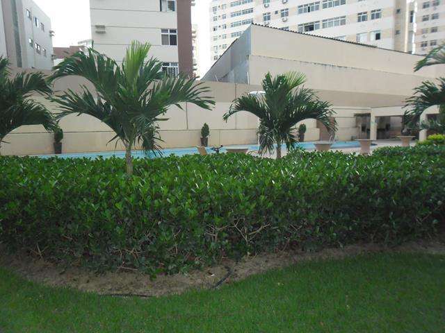 Imagem Apartamento com 3 Quartos à Venda, 74 m²em Fátima - Fortaleza