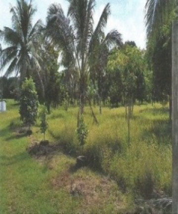 Imagem Fazenda à Venda, 66.246 m² em Zona Rural - Vigia Imagem Fazenda à Venda, 66.246 m² em Zona Rural - Vigia