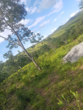 Imagem Fazenda à Venda, em Área Rural - Padre Bernardo Imagem Fazenda à Venda, em Área Rural - Padre Bernardo