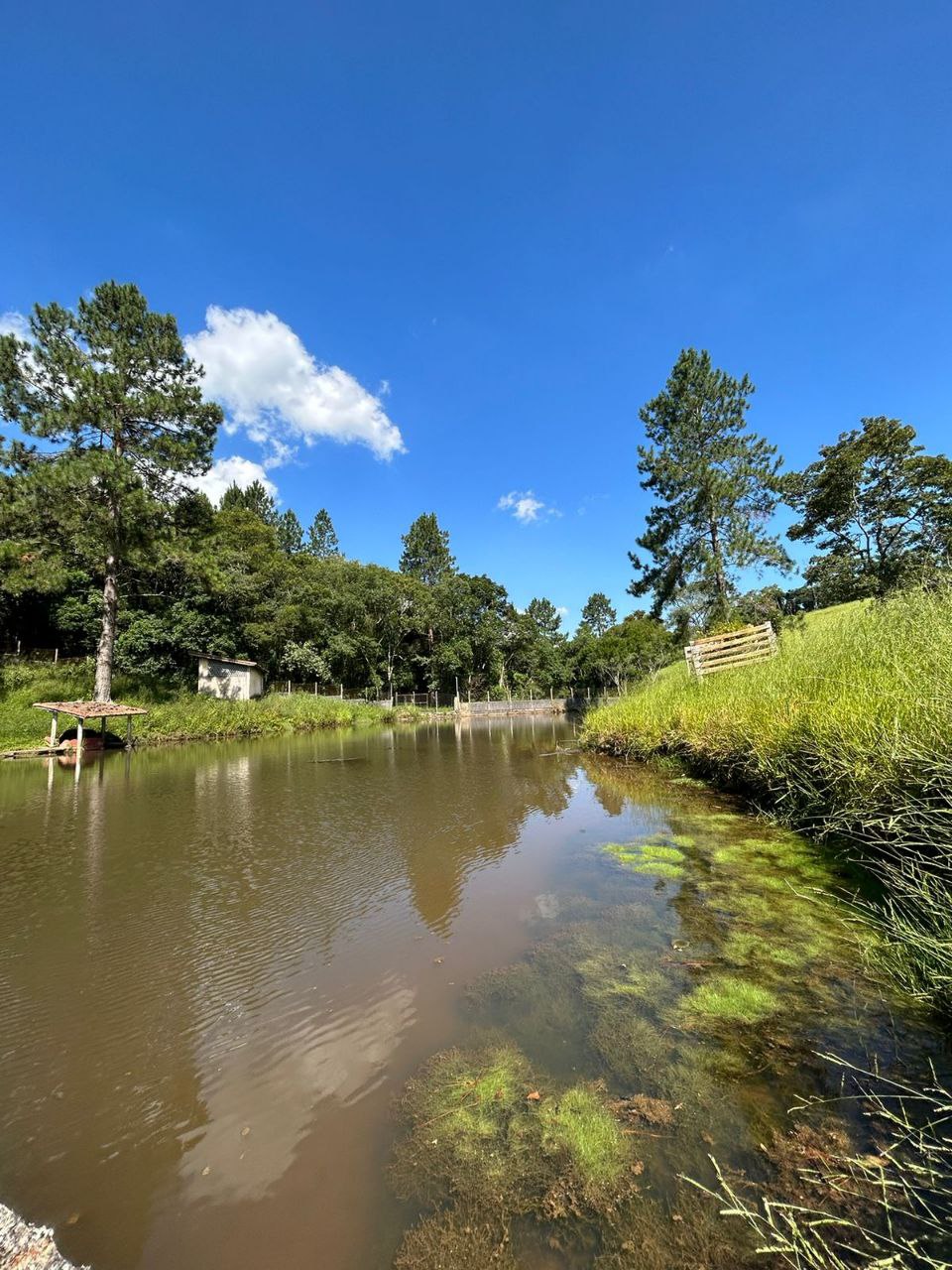 Imagem Terreno em Condomínio à Venda ou Locação, 500 m²em recreio verava - Ibiúna Imagem Terreno em Condomínio à Venda ou Locação, 500 m²em recreio verava - Ibiúna