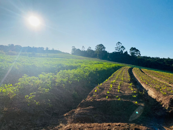 Imagem Terreno à Venda, 1.000 m² em Jardim Primavera - Salto de Pirapora Imagem Terreno à Venda, 1.000 m² em Jardim Primavera - Salto de Pirapora