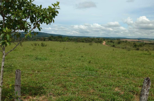 Imagem Fazenda à Venda, 8 Alq GOem Zona Rural - Silvânia Imagem Fazenda à Venda, 8 Alq GOem Zona Rural - Silvânia