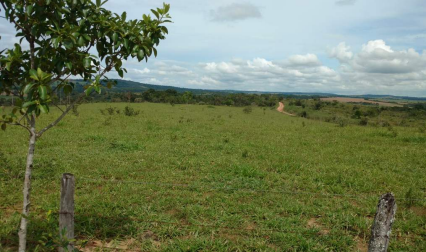 Imagem Fazenda à Venda, 8 Alq GOem Zona Rural - Silvânia Imagem Fazenda à Venda, 8 Alq GOem Zona Rural - Silvânia