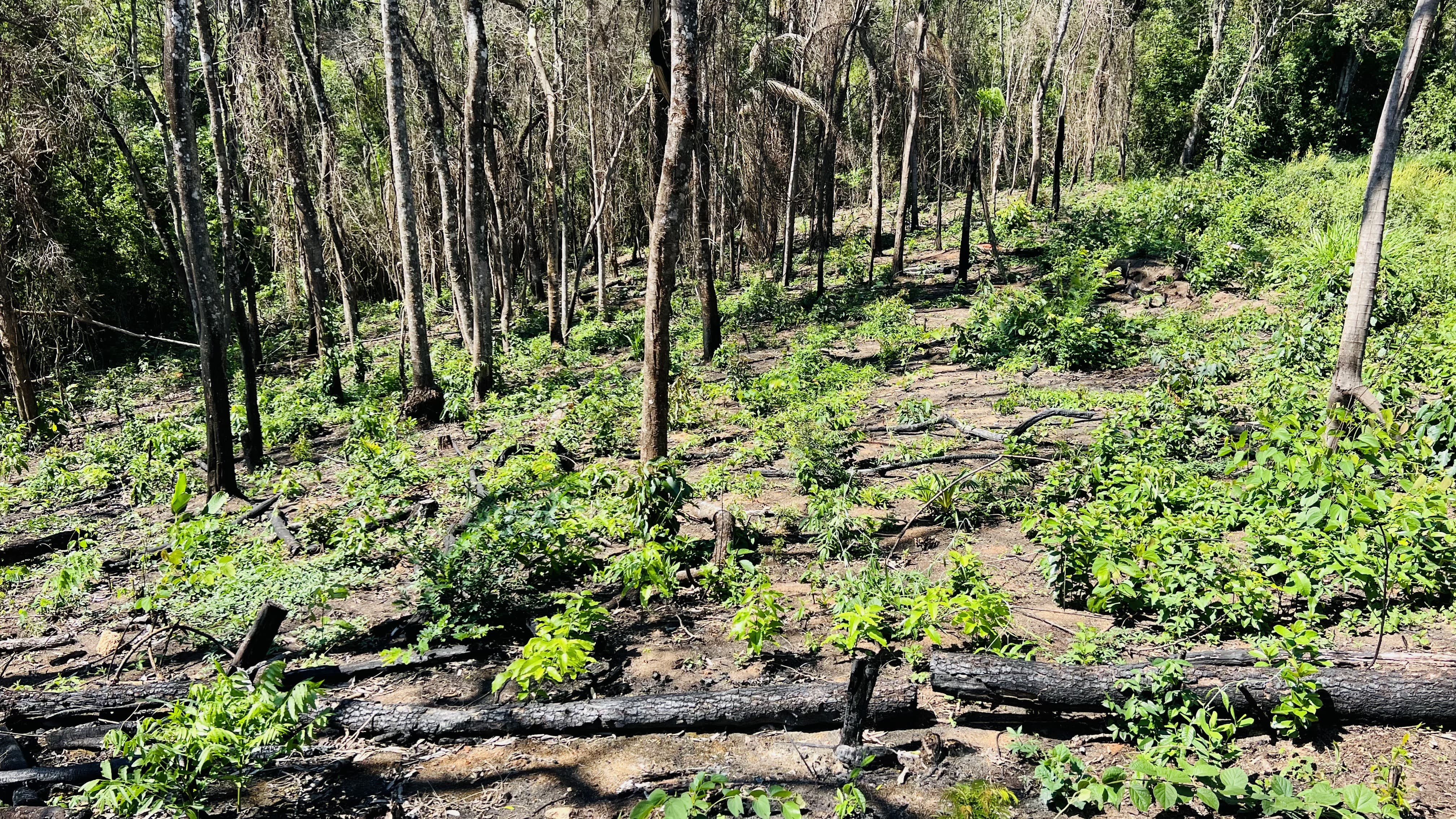Imagem Terreno em Condomínio à Venda, 1.531 m² em Estância Santa Maria do Laranjal - Atibaia