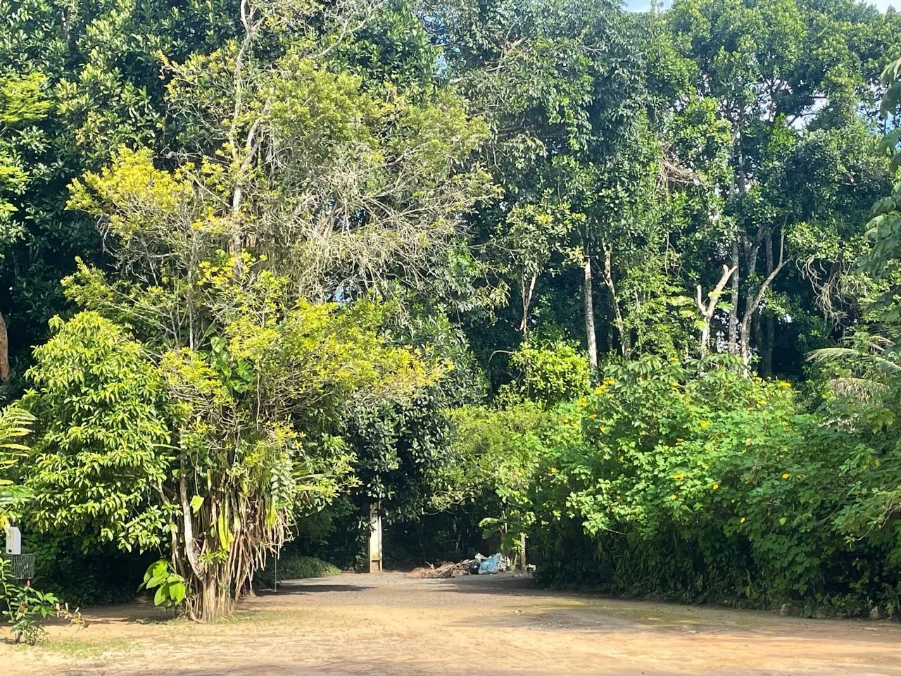 Imagem Casa com 2 Quartos à Venda, 725 m² em Aldeia dos Camarás - Camaragibe Imagem Casa com 2 Quartos à Venda, 725 m² em Aldeia dos Camarás - Camaragibe