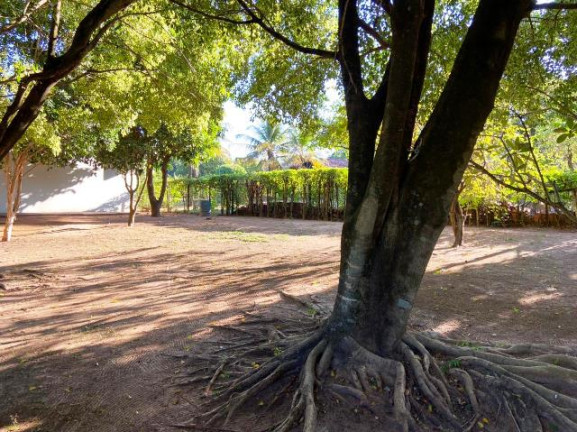 Imagem Chácara à Venda, 230 m² em Chácaras Cardoso - Bauru Imagem Chácara à Venda, 230 m² em Chácaras Cardoso - Bauru
