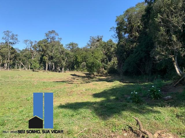 Imagem Terreno à Venda, 110 m²em Juquiazinho - Juquitiba