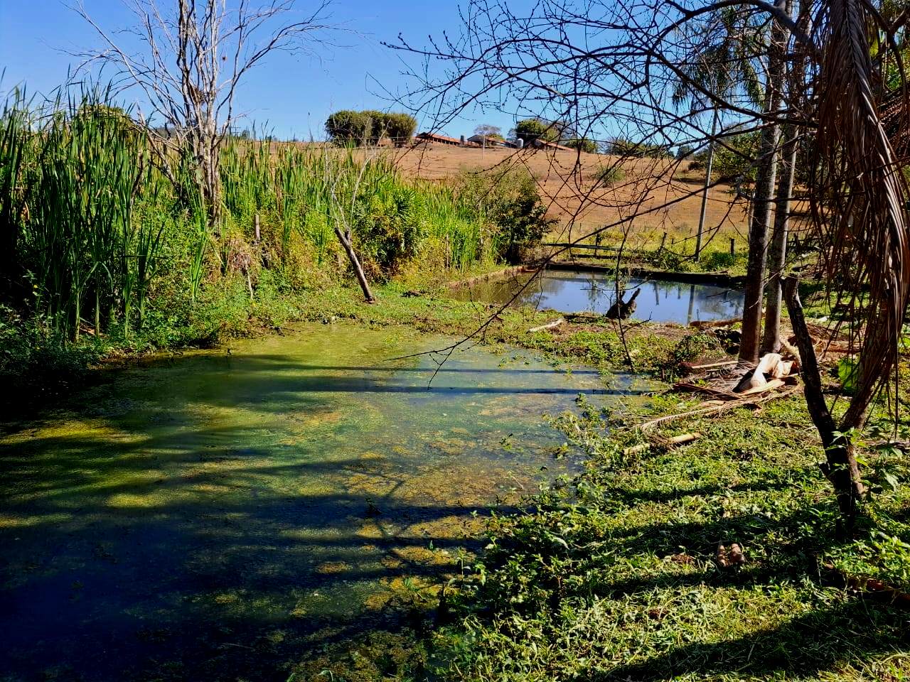 Imagem Fazenda à Venda, 36.200 m² em Centro - Caconde