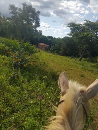 Imagem Fazenda à Venda, em Área Rural - Padre Bernardo Imagem Fazenda à Venda, em Área Rural - Padre Bernardo