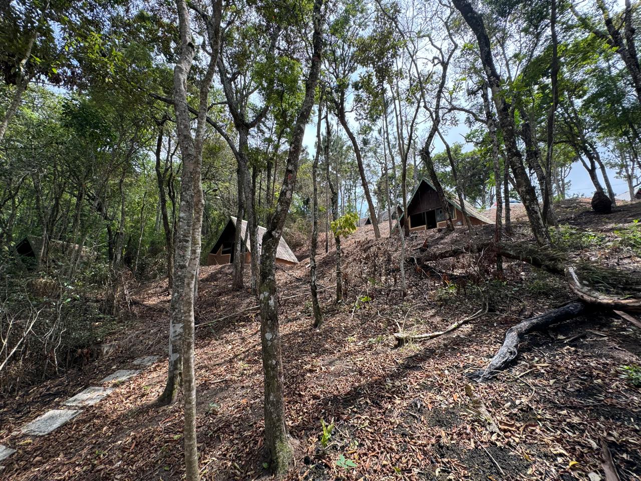 Imagem Terreno à Venda, 33.000 m² em Atibaia Vista da Montanha - Atibaia