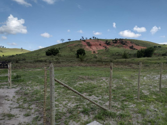 Terreno à Venda, 5.000 m² em Buarque de Macedo - Conselheiro Lafaiete