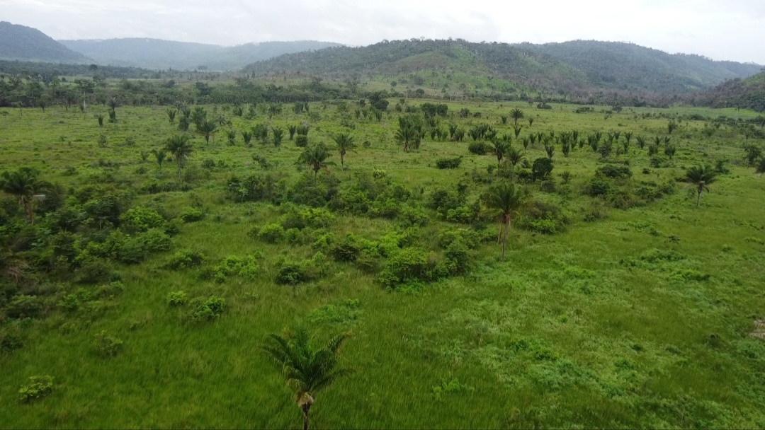 Imagem Fazenda à Venda, 90 m²em Centro - São Félix do Xingu